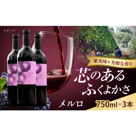 ふるさと納税 ワイン 赤ワイン 島根県 雲南市 メルロ 3本 750ml×3 赤ワイン 国産 島根県雲南市/有限会社奥出雲葡萄園