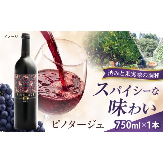 ふるさと納税 ワイン 赤ワイン 島根県 雲南市 ピノタージュ 1本 750ml 赤ワイン 国産 島根県雲南市/有限会社奥出雲葡萄園