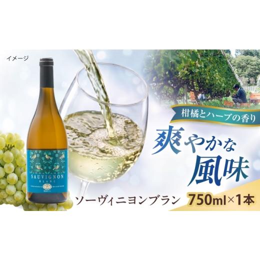 ふるさと納税 ワイン 白ワイン 島根県 雲南市 ソーヴィニヨンブラン 1本 750ml 白ワイン 国産 島根県雲南市/有限会社奥出雲葡萄園