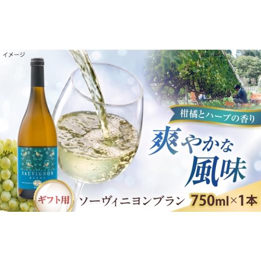 ふるさと納税 ワイン 白ワイン 島根県 雲南市 贈答用 ソーヴィニヨンブラン 1本 750ml 白ワイン 国産 島根県雲南市/有限会社奥出雲葡萄園