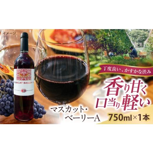 ふるさと納税 ワイン 白ワイン 島根県 雲南市 マスカット・ベーリーA 1本 750ml 赤ワイン 国産 島根県雲南市/有限会社奥出雲葡萄園