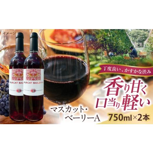 ふるさと納税 ワイン 赤ワイン 島根県 雲南市 マスカット・ベーリーA 2本 750ml×2 赤ワイン 国産 島根県雲南市/有限会社奥出雲葡萄園
