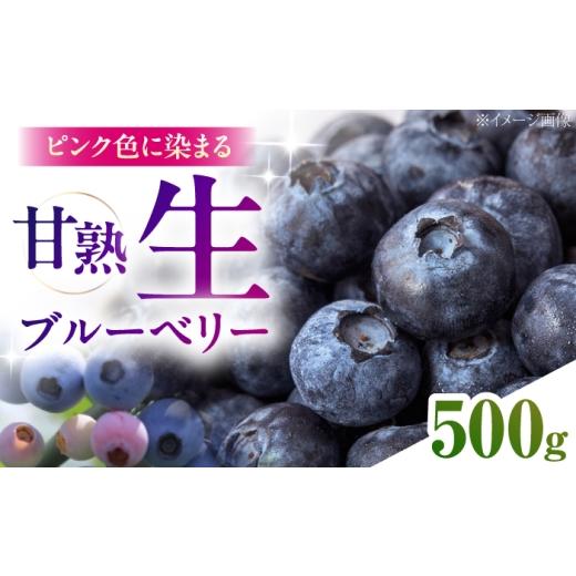 ふるさと納税 果物類 島根県 雲南市 先行予約 2026年7月中旬以降順次発送 ブルーベリー500g(1パック) ブルーベリー フルーツ 果物 ジャム ヨーグルト/島根県…