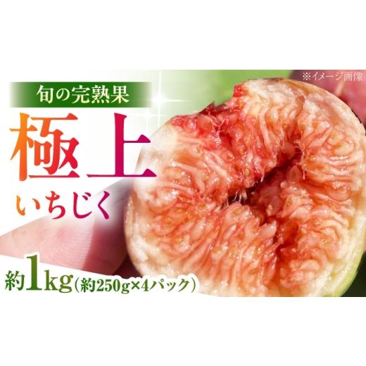 ふるさと納税 いちじく 島根県 雲南市 先行予約 2026年8月中旬以降順次発送 イチジク約1kg(約250g×4パック) いちじく 無花果 フルーツ 美容 美肌/島根県雲…