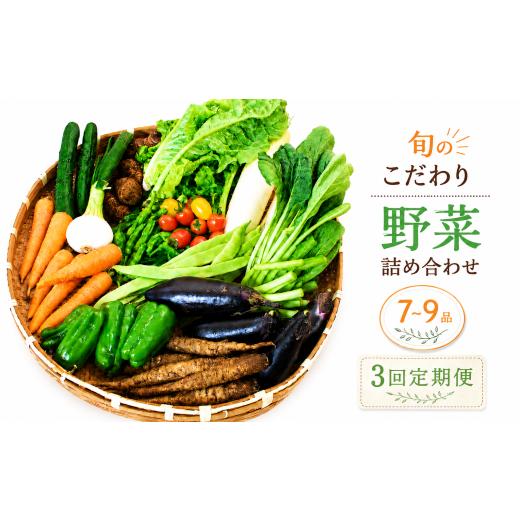 ふるさと納税 セット・詰合せ 高知県 南国市 先行予約 3回定期便 朝採れ新鮮 野菜セット(7〜9品) | 野菜セット 新鮮 野菜 人気 季節の野菜 数量限定 おすすめ…