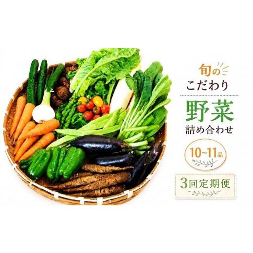 ふるさと納税 セット・詰合せ 高知県 南国市 先行予約 3回定期便 朝採れ新鮮 野菜セット(10〜11品) | 野菜セット 新鮮 野菜 人気 季節の野菜 おすすめ キャベ…