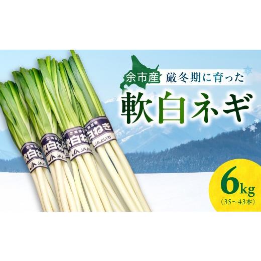 ふるさと納税 野菜類 ねぎ 北海道 余市町 先行予約:2026年12月中旬以降発送 厳寒期の希少品 北海道余市産 軟白ネギ 6kg