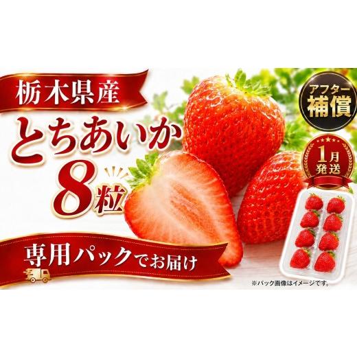 ふるさと納税 いちご 栃木県 真岡市 いちご 先行予約 2027年1月以降発送 とちあいか 専用パックでお届け 発送月が選べる お試し 8粒 栃木県 真岡市産 いちご …
