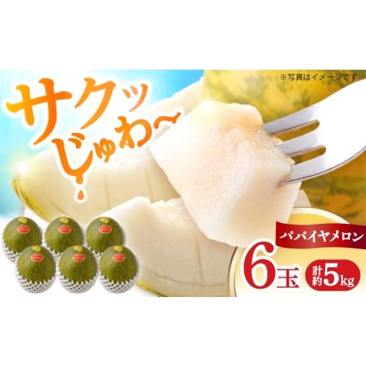 ふるさと納税 メロン メロン青肉 長崎県 南島原市 パパイヤメロン 6玉 ( 約 5kg ) / メロン めろん パパイヤメロン 果物 フルーツ / 南島原市/ 小田メロ…