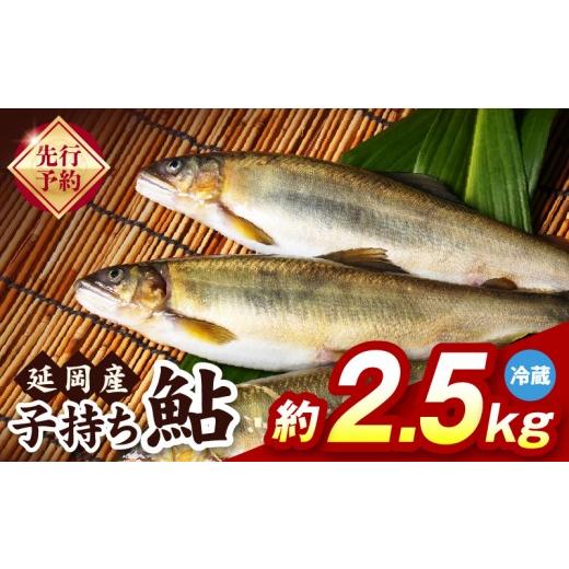 ふるさと納税 川魚 あゆ 宮崎県 延岡市 先行予約 2026年10月下旬より発送開始 冷蔵 子持ち鮎約2.5kg N070-YC425-1