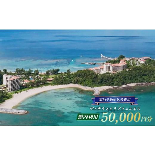 ふるさと納税 宿泊券 高級宿 沖縄県 名護市 宿泊予約申込者専用 ザ・テラスクラブウェルネス館内利用(5万円分) 宿泊券 ホテル 宿 旅行 1泊2日 人気 おすす…