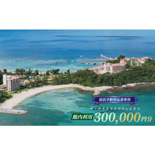 ふるさと納税 宿泊券 高級宿 沖縄県 名護市 宿泊予約申込者専用 ザ・テラスクラブウェルネス館内利用(30万円分) 宿泊券 ホテル 宿 旅行 1泊2日 人気 おすす…