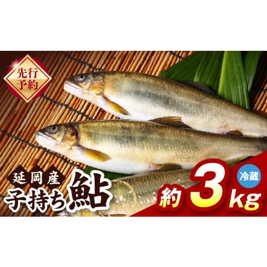ふるさと納税 川魚 あゆ 宮崎県 延岡市 先行予約 2026年10月下旬より発送開始 冷蔵 子持ち鮎約3kg N070-YD0265-1