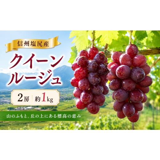 ふるさと納税 果物類 ぶどう 長野県 塩尻市 2026年先行予約 信州塩尻産 クイーンルージュ 2房 約1kg 9月下旬頃〜10月下旬にかけて順次発送予定 | クイーンル…