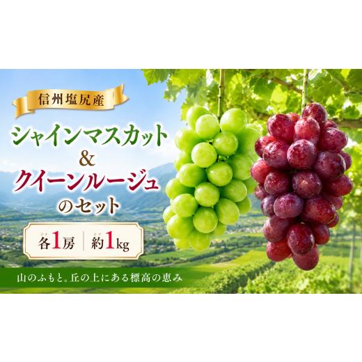 ふるさと納税 果物類 ぶどう 長野県 塩尻市 2026年先行予約 信州塩尻産 シャインマスカット&クイーンルージュのセット 各1房 約1kg 9月下旬頃〜10月下旬にか…