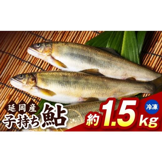 ふるさと納税 川魚 あゆ 宮崎県 延岡市 冷凍 子持ち鮎約1.5kg N070-YB1106-2