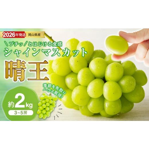 ふるさと納税 ぶどう マスカット 岡山県 備前市 2026年発送分 岡山県産シャインマスカット「晴王」 ハウス栽培 約2kg(3〜5房程度)(令和8年7月以降発送) 2…