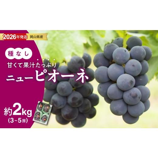 ふるさと納税 果物類 ぶどう 岡山県 備前市 2026年発送分 岡山県産ニューピオーネ 秀品 約2kg(3〜5房程度)(令和8年8月中旬以降発送) 2026年発送分 寄…