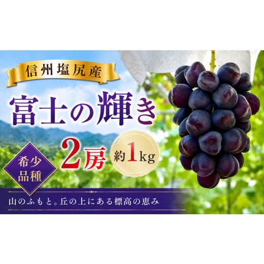 ふるさと納税 果物類 ぶどう 長野県 塩尻市 2026年先行予約 希少品種 信州塩尻産 富士の輝き 2房 約1kg 9月下旬頃〜11月初旬にかけて順次発送予定 | 富士の…
