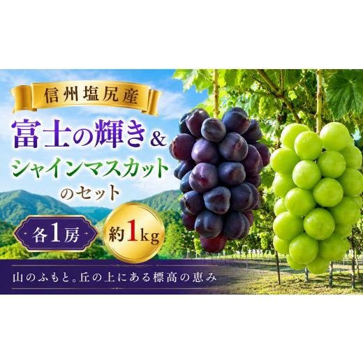 ふるさと納税 ぶどう マスカット 長野県 塩尻市 2026年先行予約 希少品種 信州塩尻産 富士の輝き&シャインマスカットのセット 各1房 約1kg 9月下旬頃〜11月…