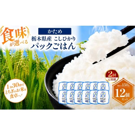ふるさと納税 米 栃木県 真岡市 定期便2回 栃木県産こしひかり パックごはん かため | コシヒカリ こしひかり パックごはん パックライス 非常食 国産 栃木県…