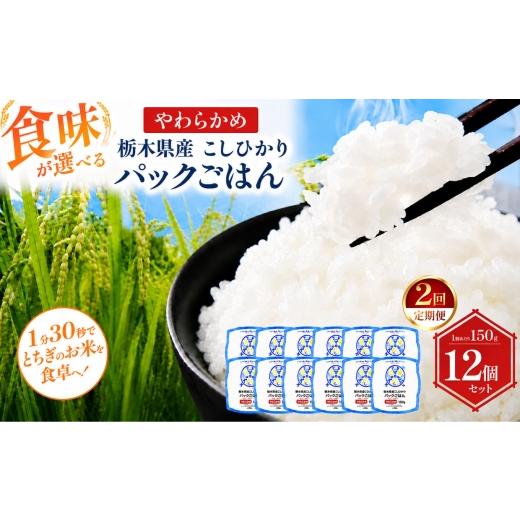 ふるさと納税 米 栃木県 真岡市 定期便2回 栃木県産こしひかり パックごはん やわらかめ | コシヒカリ こしひかり パックごはん パックライス 非常食 国産 栃…