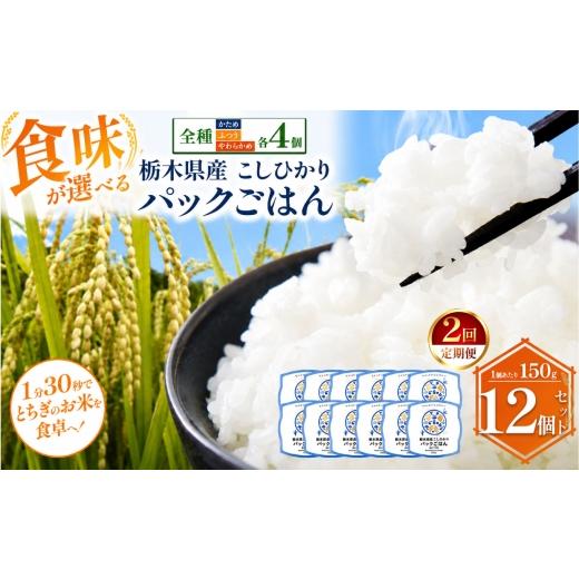 ふるさと納税 米 栃木県 真岡市 定期便2回 栃木県産こしひかり パックごはん 全種セット | コシヒカリ こしひかり パックごはん パックライス 非常食 国産 栃…