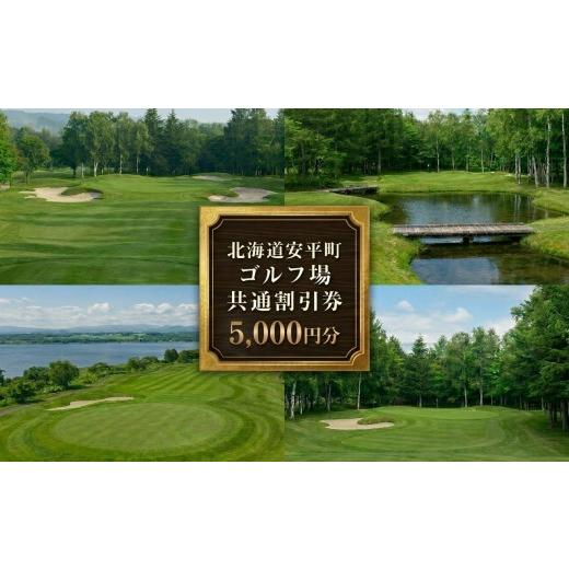 ふるさと納税 ゴルフ場利用券 北海道 安平町 ふるさと納税 安平町ゴルフ場共通割引券 5000円分(1000円×5枚)