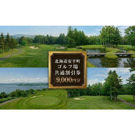 ふるさと納税 ゴルフ場利用券 北海道 安平町 ふるさと納税 安平町ゴルフ場共通割引券 9000円分(3000円×3枚)