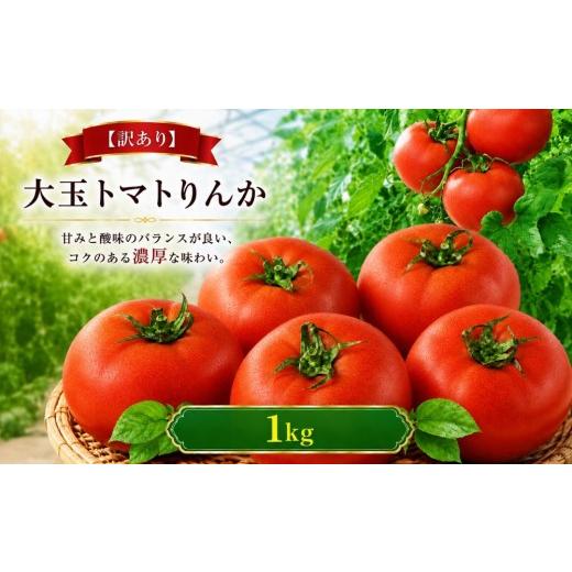 ふるさと納税 野菜類 トマト 岐阜県 北方町 訳あり R8年12月上旬順次発送 大玉トマトりんか 1kg | 大玉 トマト りんか 野菜 家庭用 訳ありトマビレファーム …
