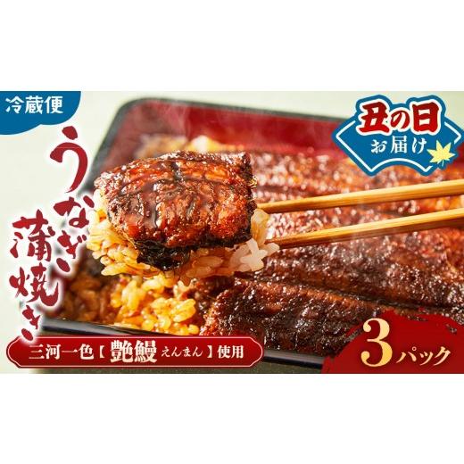 ふるさと納税 うなぎ 三重県 多気町 土用の丑の日お届け 3代目が焼く蒲焼き真空パックA 3パック 国産 うなぎ 蒲焼 鰻 ウナギ 蒲焼き 丑の日 うな重 うな丼 う…