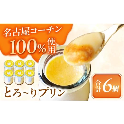 ふるさと納税 菓子 プリン 愛知県 愛西市 ＼大人気/ とろ〜り 名古屋コーチンプリン 6個入り スイーツ プリン 洋菓子 愛西市 / スイーツカフェハル