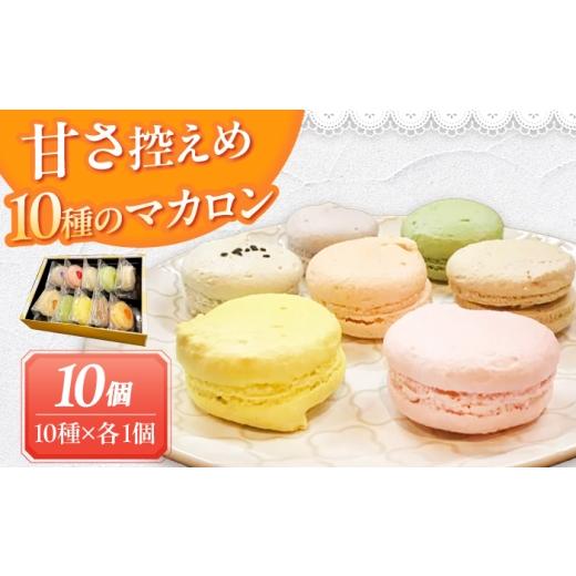 ふるさと納税 焼菓子・チョコレート マカロン 愛知県 愛西市 マカロン 10個入り 洋菓子 マカロン スイーツ 愛西市 / スイーツカフェハル