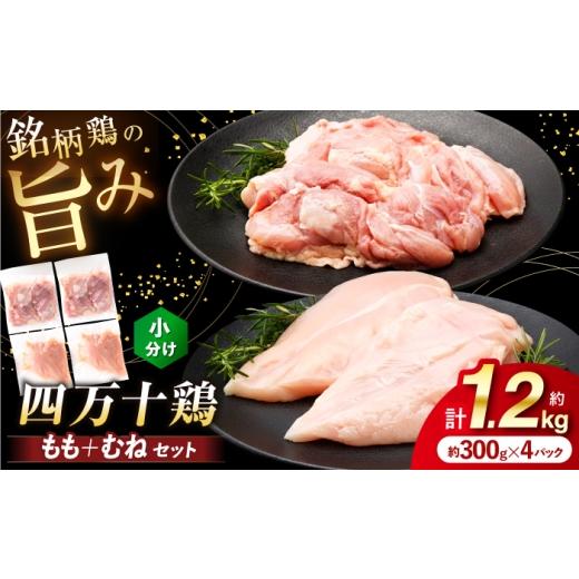 ふるさと納税 鶏肉 モモ 高知県 高知市 四万十鶏 おいしいとこ鶏 セット (もも肉 むね肉 計約1.2kg)/ 四万十鶏 もも肉 むね肉 冷凍 三栄ブロイラー販売株式会…