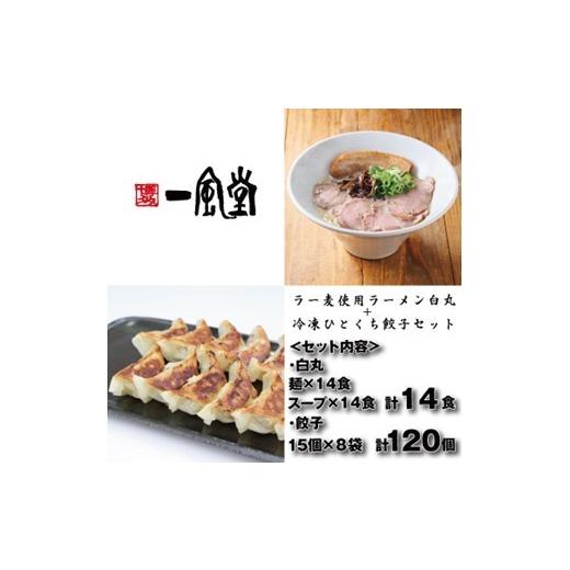 ふるさと納税 ラーメン とんこつ 福岡県 新宮町 B449. 一風堂 白丸ラー麦麺14食とひとくち餃子8袋セット 豚骨ラーメン