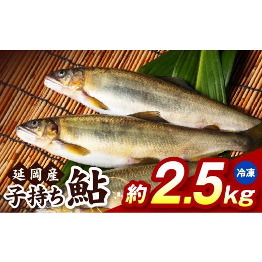 ふるさと納税 川魚 あゆ 宮崎県 延岡市 冷凍 子持ち鮎約2.5kg N070-YC425-2