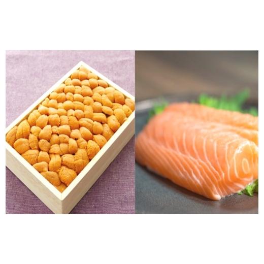 ふるさと納税 ウニ 北海道 根室市 E-40030 エゾバフンウニバラ150g×1折、お刺身サーモン300g〜500g(1〜3本) 11月下旬以降発送
