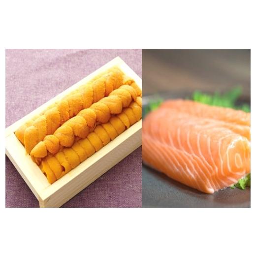 ふるさと納税 ウニ 北海道 根室市 E-40031 エゾバフンウニ140g×1折、お刺身サーモン300g〜500g(1〜3本) 11月下旬以降発送