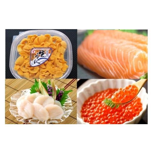 ふるさと納税 ウニ 北海道 根室市 E-40034 エゾバフンウニ塩水パック100g×1P、いくら醤油漬け(鱒卵)100g×1P、お刺身ホタテ貝柱300g×1P、お刺身サーモン300g…