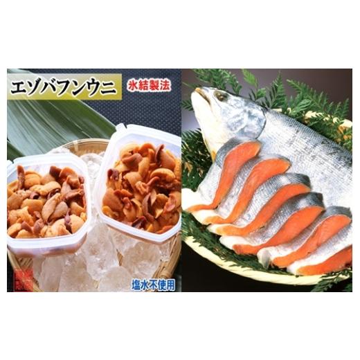 ふるさと納税 魚貝類 北海道 根室市 A-71058 冷凍エゾバフンウニ約20〜30g×2P(赤系)・塩銀鮭切り身×3切(個包装) 11月上旬以降発送