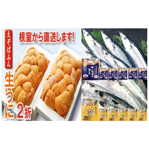 ふるさと納税 魚貝類 北海道 根室市 B-71029 エゾバフンウニ約60g〜70g×2折・さんま旨煮×6P・さば味噌煮×6P 10月下旬以降発送
