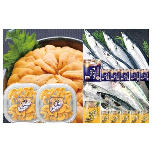 ふるさと納税 魚貝類 北海道 根室市 B-71030 エゾバフンウニ塩水パック約60g〜70g×2P・さんま旨煮×6P・さば味噌煮×6P 10月下旬以降発送