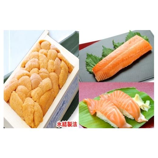 ふるさと納税 魚貝類 北海道 根室市 B-71032 冷凍エゾバフンウニ約60〜70g×1折(赤系)・お刺身サーモン300g〜500g(1〜3本) 11月中旬以降発送