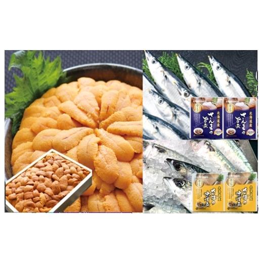 ふるさと納税 魚貝類 北海道 根室市 C-71030 エゾバフンウニバラ約150g×1折・さんま旨煮×2P・さば味噌煮×2P 11月上旬以降発送