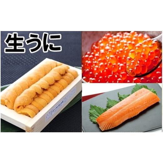 ふるさと納税 ウニ 北海道 根室市 E-71042 エゾバフンウニ140g×1折、いくら醤油漬け(鱒卵)150g×1P、お刺身サーモン300g〜500g(1〜3本) 11月下旬以降発送