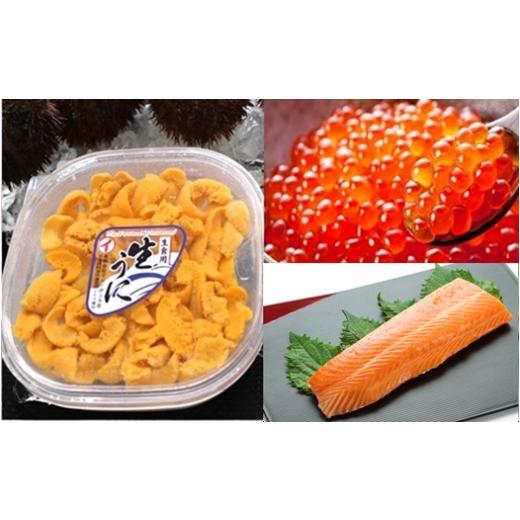 ふるさと納税 ウニ 北海道 根室市 E-71043 エゾバフンウニ塩水パック150g×1P、いくら醤油漬け(鱒卵)150g×1P、お刺身サーモン300g〜500g(1〜3本) 11月下旬以…