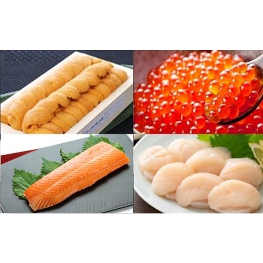 ふるさと納税 ウニ 北海道 根室市 E-71044 エゾバフンウニ100g×1折、いくら醤油漬け(鱒卵)100g×1P、お刺身ホタテ貝柱300g×1P、お刺身サーモン300g〜500g(1…