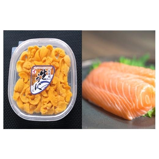 ふるさと納税 ウニ 北海道 根室市 E-40032 エゾバフンウニ塩水パック150g×1P、お刺身サーモン300g〜500g(1〜3本) 11月下旬以降発送