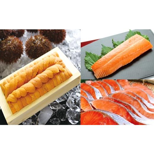 ふるさと納税 魚貝類 北海道 根室市 D-71069 エゾバフンウニ約100g×1折・お刺身サーモン300g〜500g(1〜3本)、塩銀鮭切り身×10切(個包装) 11月下旬以降発送
