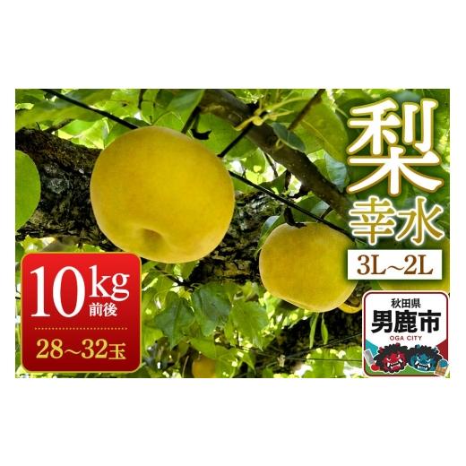 ふるさと納税 梨 秋田県 男鹿市 [先行受付]梨 幸水 10kg前後(3L〜2L)28〜32玉 秋田なまはげ農業協同組合 秋田県 男鹿市 先行受付 なし ナシ 果物 くだもの…